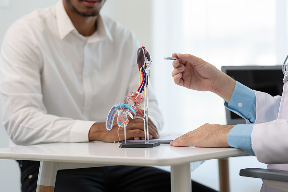 urologo que es. Razones para ir al urólogo